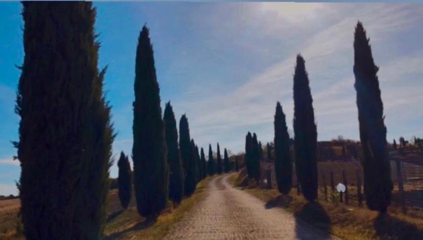 Agriturismo Villa Felice 渥尔特拉 外观 照片