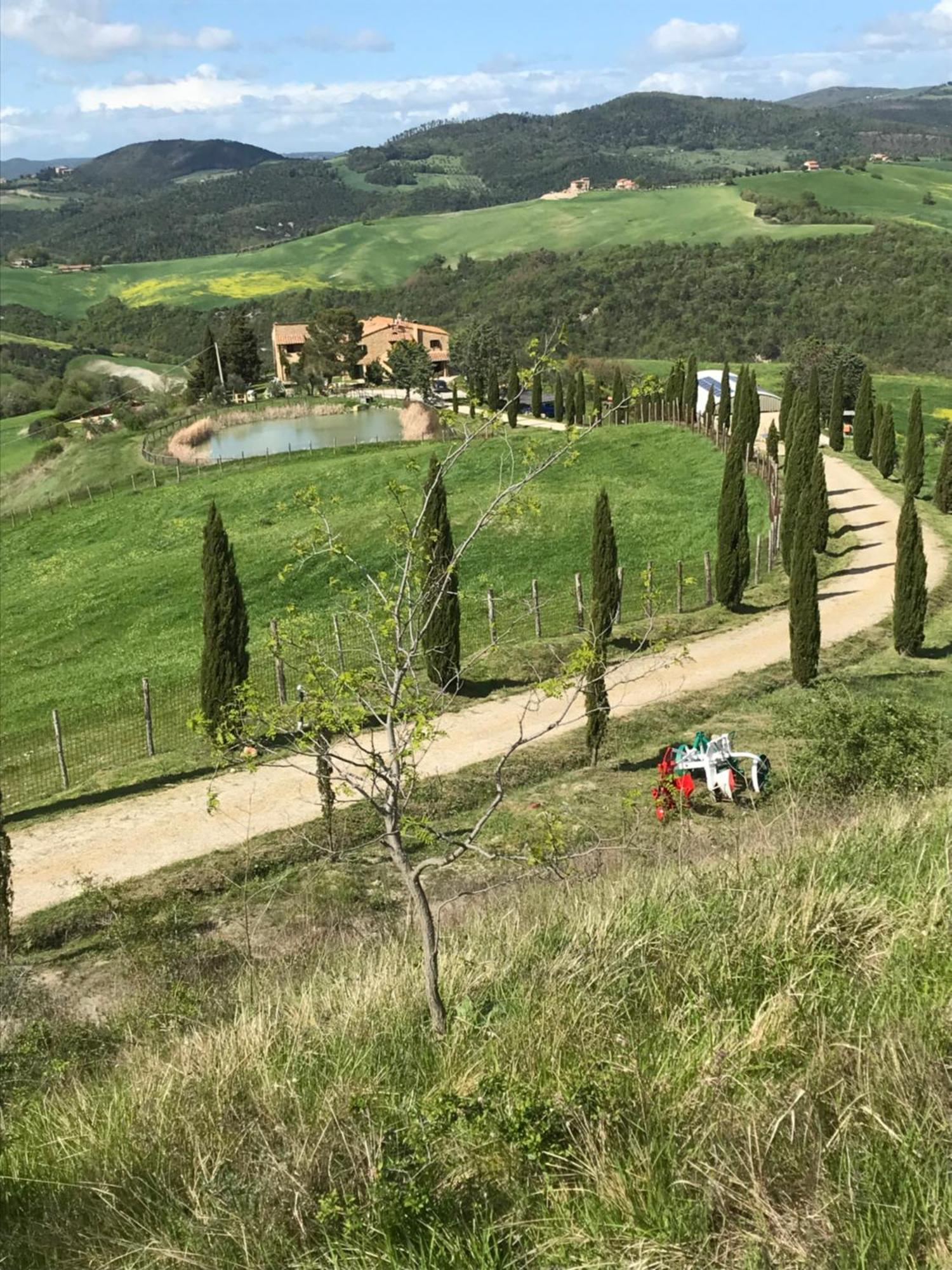 Agriturismo Villa Felice 渥尔特拉 外观 照片